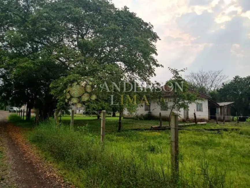 Chácara à venda, 20000m2 em Campo Bom - RS - imagem 3 Foto 3 de Chácara à venda, 20000m2 em Campo Bom - RS