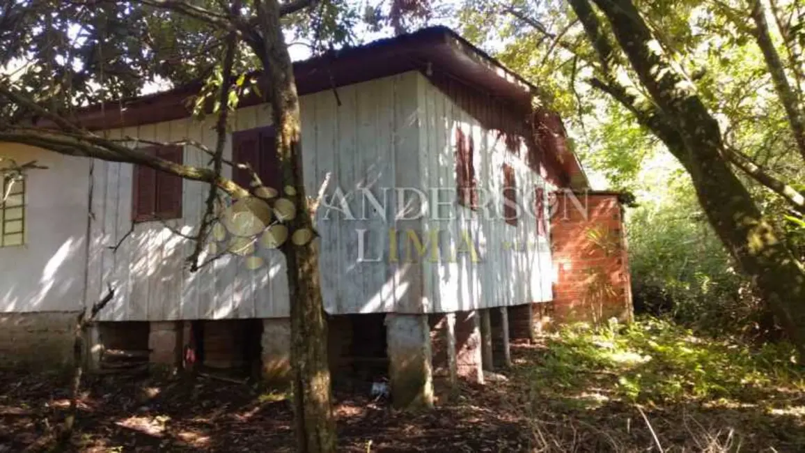 Foto 4 de Chácara com 2 quartos à venda, 16777215m2 em Rolante - RS