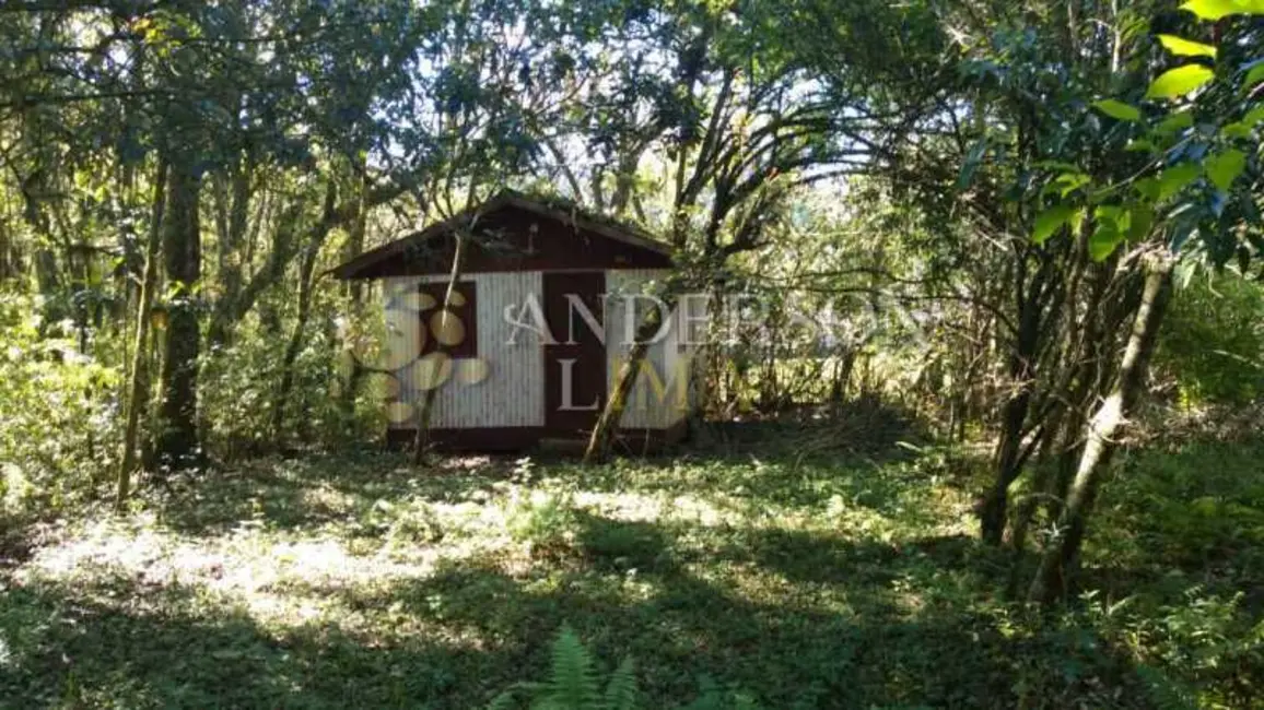 Foto 8 de Chácara com 2 quartos à venda, 16777215m2 em Rolante - RS