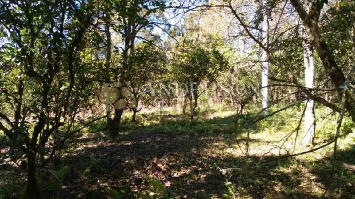 Foto 5 de Chácara com 2 quartos à venda, 16777215m2 em Rolante - RS