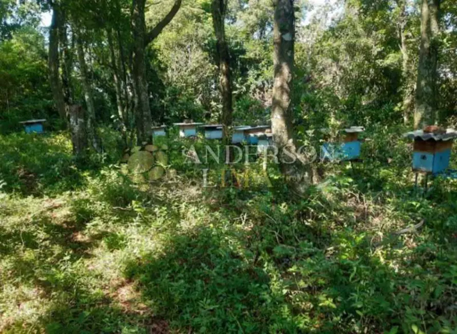 Foto 9 de Sítio / Rancho à venda, 160170m2 em Rolante - RS