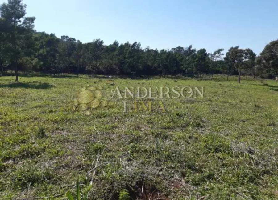 Foto 4 de Sítio / Rancho à venda, 160170m2 em Rolante - RS