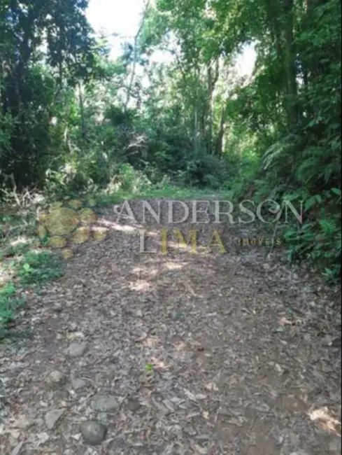 Foto 7 de Sítio / Rancho à venda, 160170m2 em Rolante - RS