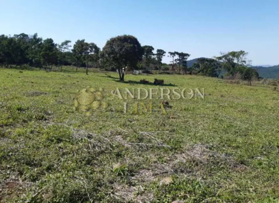 Foto 8 de Sítio / Rancho à venda, 160170m2 em Rolante - RS