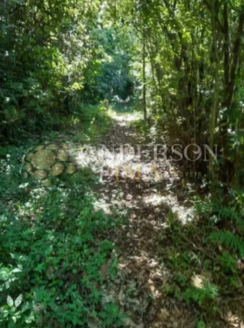 Foto 5 de Sítio / Rancho à venda, 160170m2 em Rolante - RS