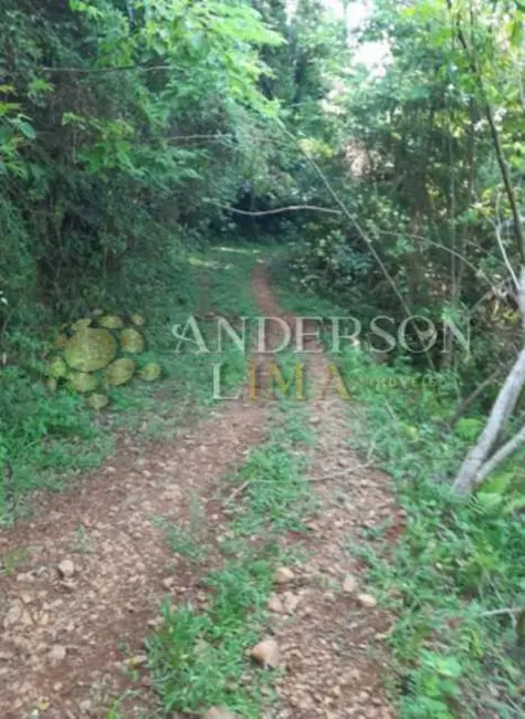 Foto 3 de Sítio / Rancho à venda, 160170m2 em Rolante - RS