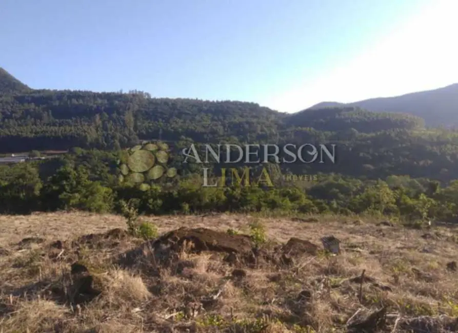 Foto 7 de Sítio / Rancho à venda, 227000m2 em Rolante - RS