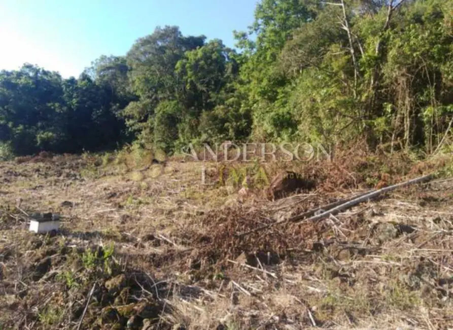 Foto 6 de Sítio / Rancho à venda, 227000m2 em Rolante - RS