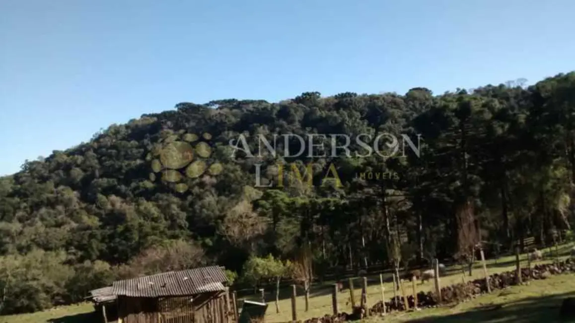 Sítio / Rancho à venda em Canela - RS - imagem 8 Foto 8 de Sítio / Rancho à venda em Canela - RS