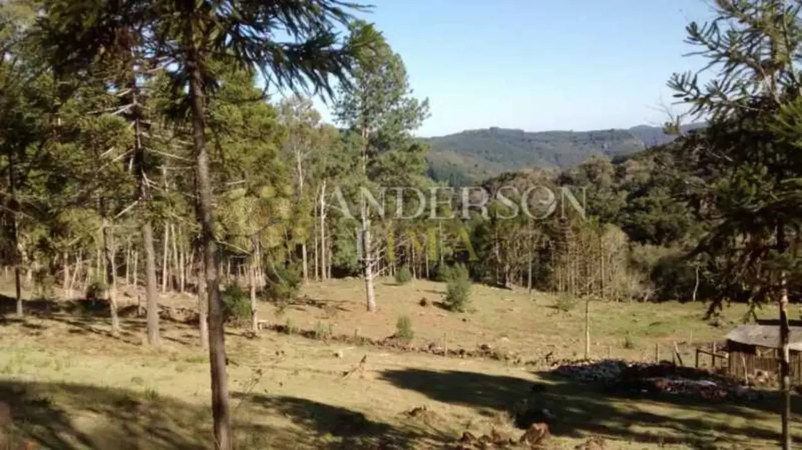 Sítio / Rancho à venda em Canela - RS - imagem 7 Foto 7 de Sítio / Rancho à venda em Canela - RS