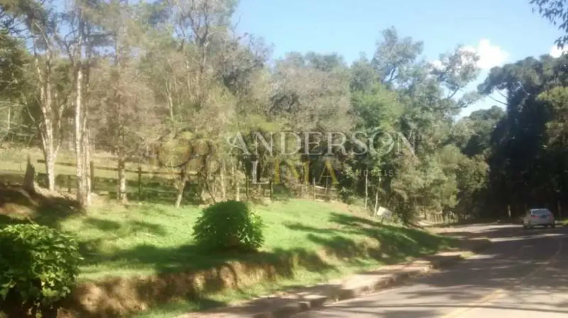 Sítio / Rancho à venda em Canela - RS - imagem 9 Foto 9 de Sítio / Rancho à venda em Canela - RS