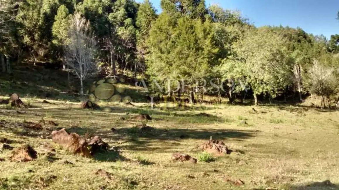 Sítio / Rancho à venda em Canela - RS - imagem 3 Foto 3 de Sítio / Rancho à venda em Canela - RS