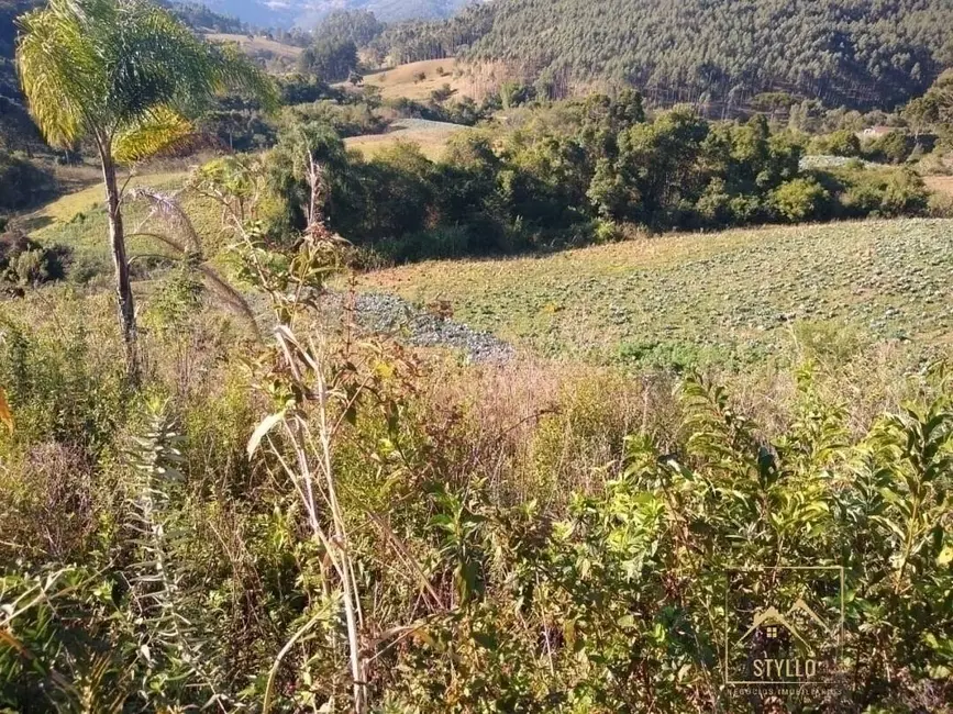 Foto 4 de Sítio / Rancho com 4 quartos à venda, 130m2 em Anitapolis - SC