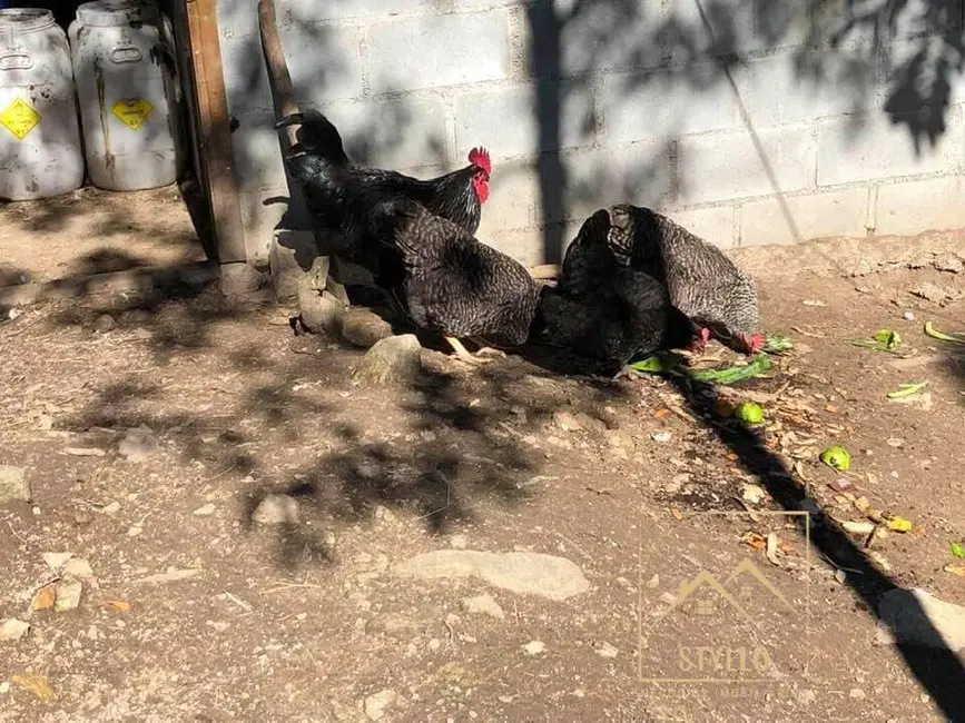 Foto 9 de Sítio / Rancho com 4 quartos à venda, 215m2 em Santo Amaro Da Imperatriz - SC