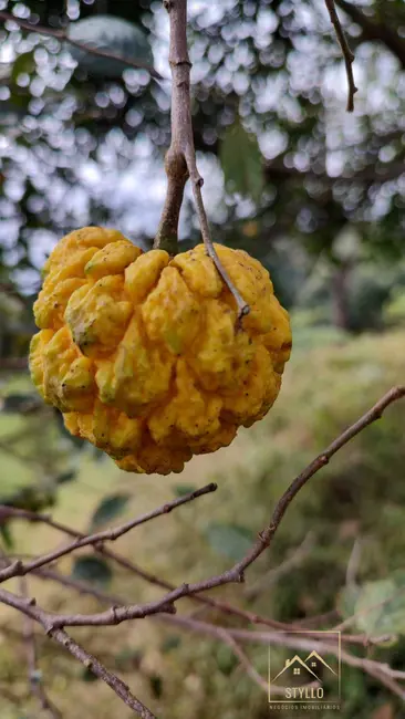 Foto 7 de Sítio / Rancho com 3 quartos à venda, 210m2 em Alfredo Wagner - SC