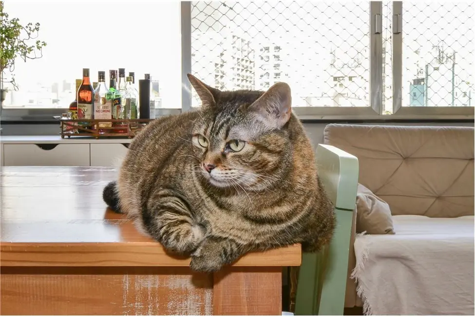 Apartamento com 3 quartos à venda, 109m2 em Bela Vista, São Paulo - SP - imagem 8 Foto 8 de Apartamento com 3 quartos à venda, 109m2 em Bela Vista, São Paulo - SP