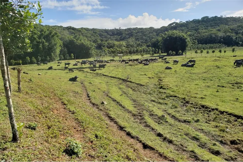 Foto 1 de Fazenda / Haras à venda, 2750000m2 em Centro, Jacupiranga - SP