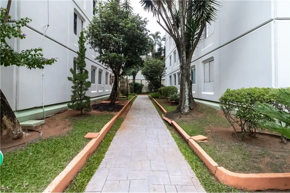 Apartamento com 3 quartos à venda, 77m2 em Butantã, São Paulo - SP - imagem 4 Foto 4 de Apartamento com 3 quartos à venda, 77m2 em Butantã, São Paulo - SP