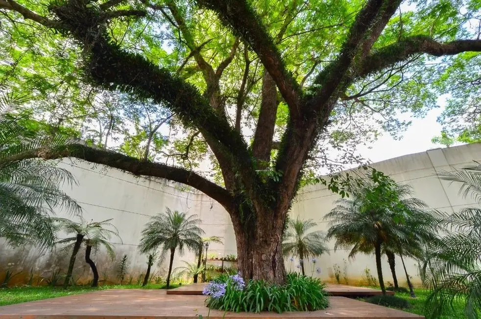 Foto 8 de Cobertura com 4 quartos à venda, 210m2 em Vila Sofia, São Paulo - SP
