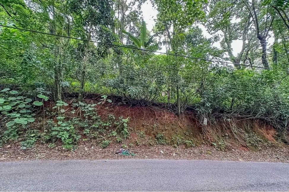 Foto 4 de Terreno / Lote à venda, 467m2 em Vila Irmãos Arnoni, São Paulo - SP