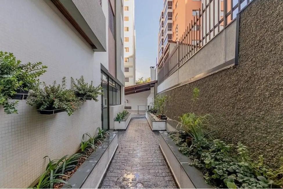 Apartamento com 3 quartos à venda, 84m2 em Vila Monte Alegre, São Paulo - SP - imagem 6 Foto 6 de Apartamento com 3 quartos à venda, 84m2 em Vila Monte Alegre, São Paulo - SP