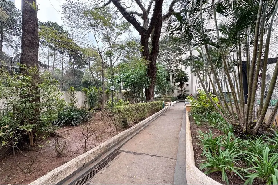 Apartamento com 3 quartos à venda, 76m2 em Vila Mascote, São Paulo - SP - imagem 3 Foto 3 de Apartamento com 3 quartos à venda, 76m2 em Vila Mascote, São Paulo - SP