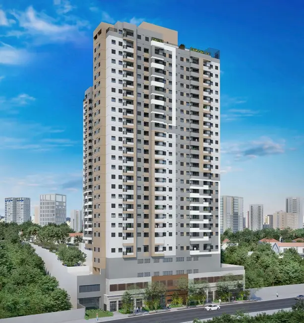Foto 3 de Apartamento com 2 quartos à venda, 45m2 em Vila Carmosina, São Paulo - SP