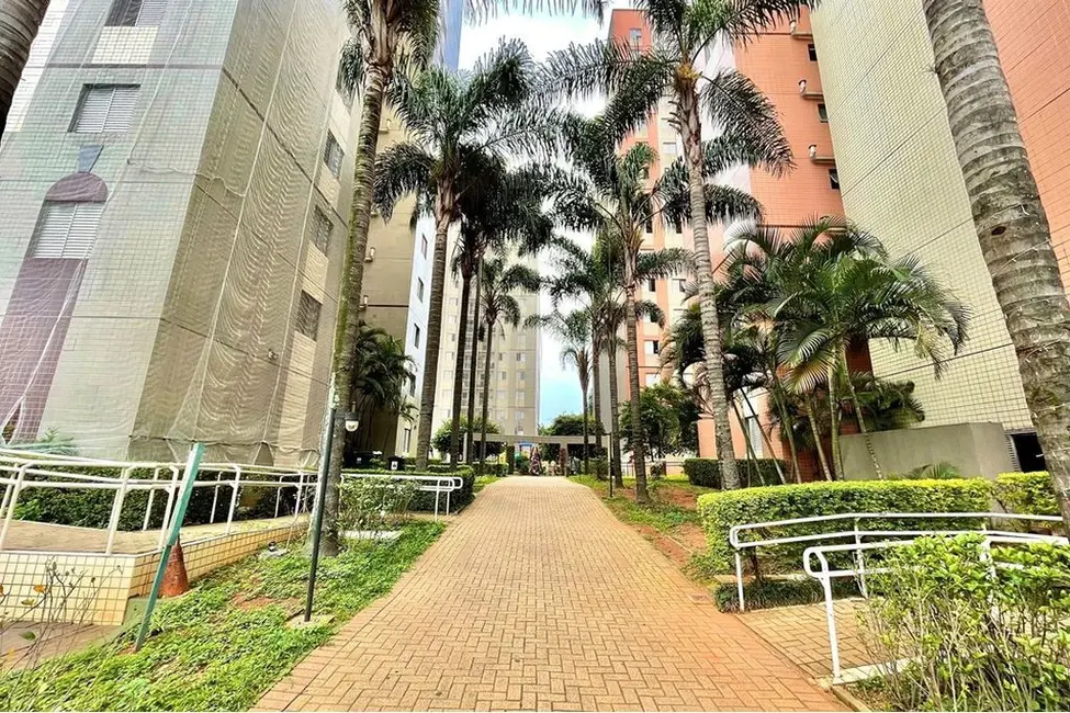 Foto 8 de Apartamento com 3 quartos à venda, 61m2 em Cambuci, São Paulo - SP