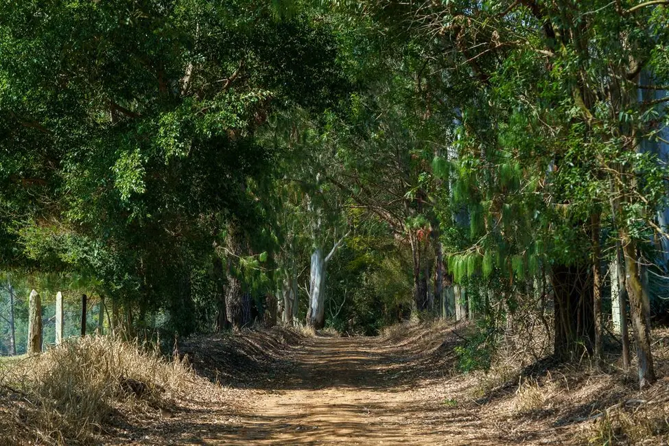 Foto 4 de Terreno / Lote à venda, 2025m2 em Piracaia - SP