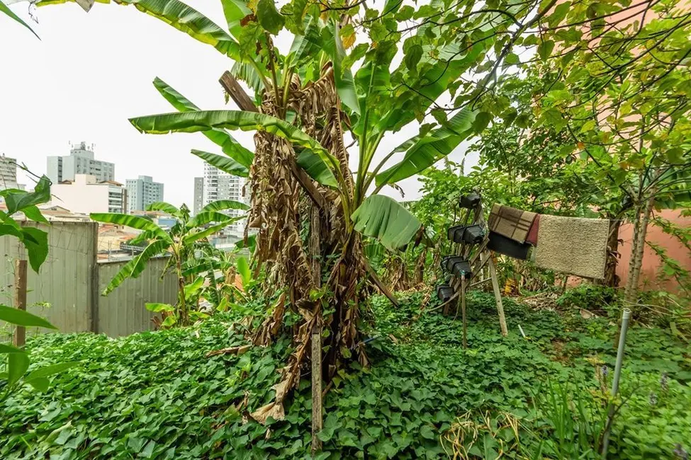 Foto 3 de Terreno / Lote à venda, 326m2 em Rudge Ramos, Sao Bernardo Do Campo - SP