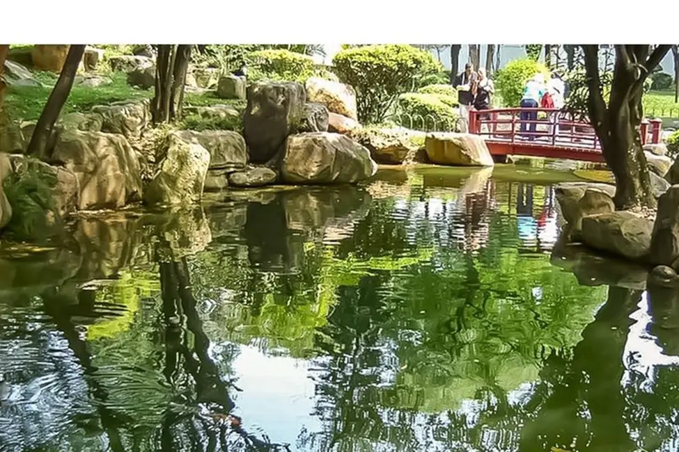 Foto 5 de Apartamento com 2 quartos à venda, 54m2 em Parque Novo Oratório, Santo Andre - SP