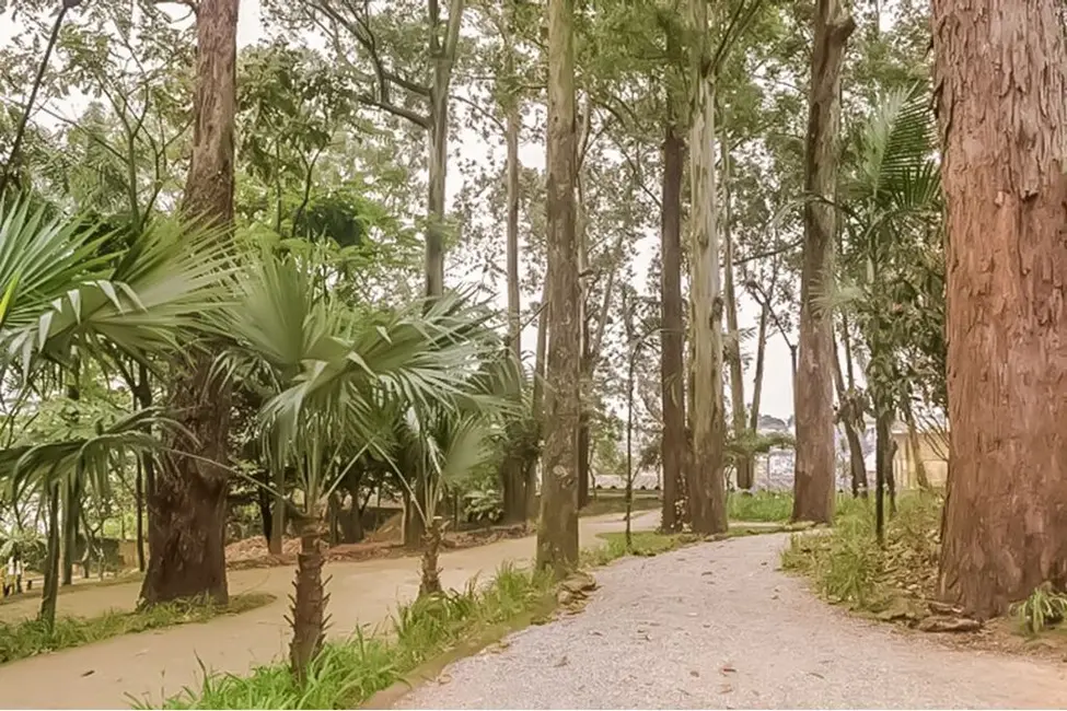 Foto 4 de Apartamento com 2 quartos à venda, 54m2 em Parque Novo Oratório, Santo Andre - SP