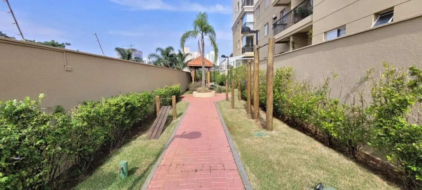 Apartamento com 3 quartos à venda, 65m2 em Vila Paulista, São Paulo - SP - imagem 6 Foto 6 de Apartamento com 3 quartos à venda, 65m2 em Vila Paulista, São Paulo - SP