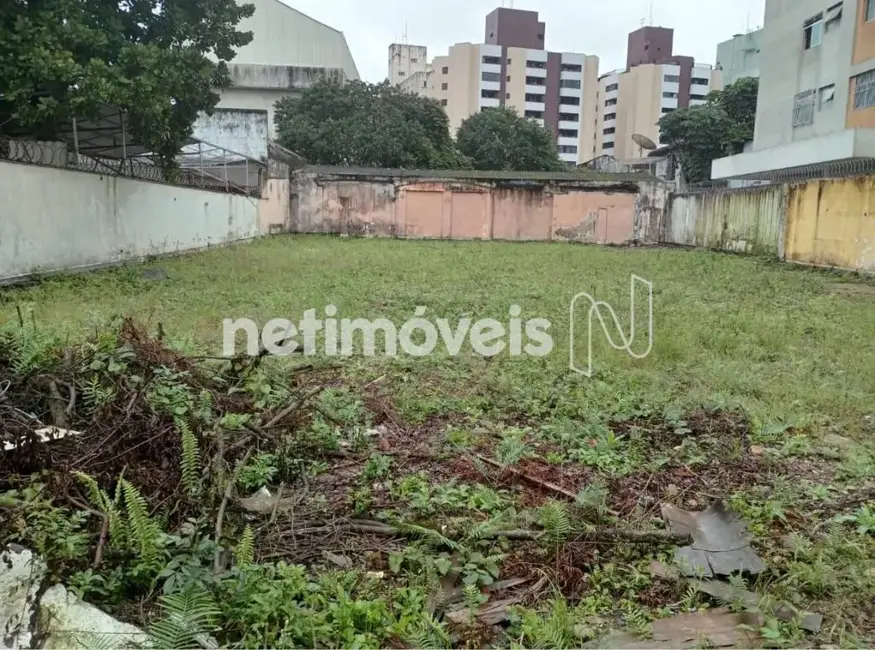 Terreno / Lote para alugar, 720m2 em Encruzilhada, Santos - SP - imagem 4 Foto 4 de Terreno / Lote para alugar, 720m2 em Encruzilhada, Santos - SP