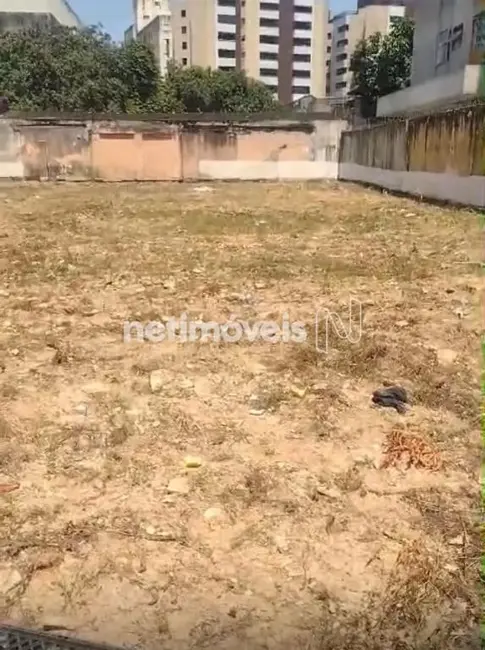 Terreno / Lote para alugar, 720m2 em Encruzilhada, Santos - SP - imagem 8 Foto 8 de Terreno / Lote para alugar, 720m2 em Encruzilhada, Santos - SP