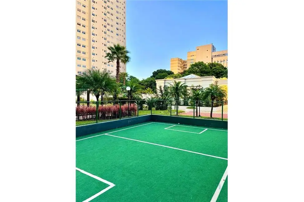 Apartamento com 3 quartos à venda, 176m2 em Cambuci, São Paulo - SP - imagem 9 Foto 9 de Apartamento com 3 quartos à venda, 176m2 em Cambuci, São Paulo - SP