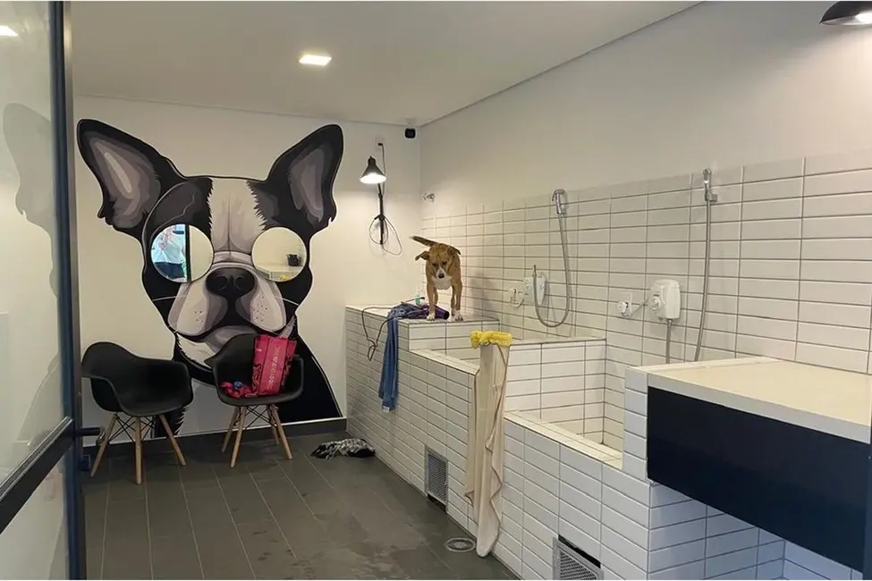Apartamento com 2 quartos à venda, 36m2 em Planalto Paulista, São Paulo - SP - imagem 6 Foto 6 de Apartamento com 2 quartos à venda, 36m2 em Planalto Paulista, São Paulo - SP