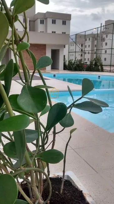 Foto 6 de Apartamento com 2 quartos à venda, 46m2 em Murta, Itajai - SC