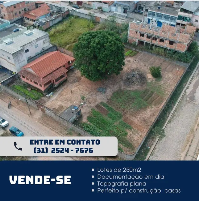 Foto 9 de Terreno / Lote à venda, 250m2 em Verônica, Ribeirao Das Neves - MG