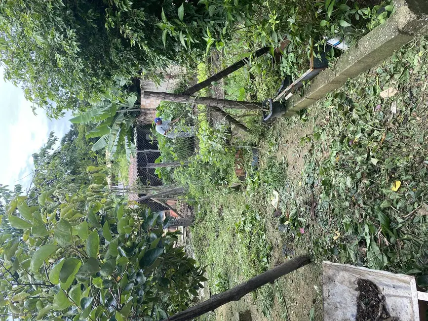 Foto 7 de Casa com 4 quartos à venda, 2000m2 em Califórnia, Betim - MG