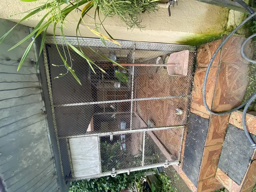 Foto 8 de Casa com 4 quartos à venda, 2000m2 em Califórnia, Betim - MG