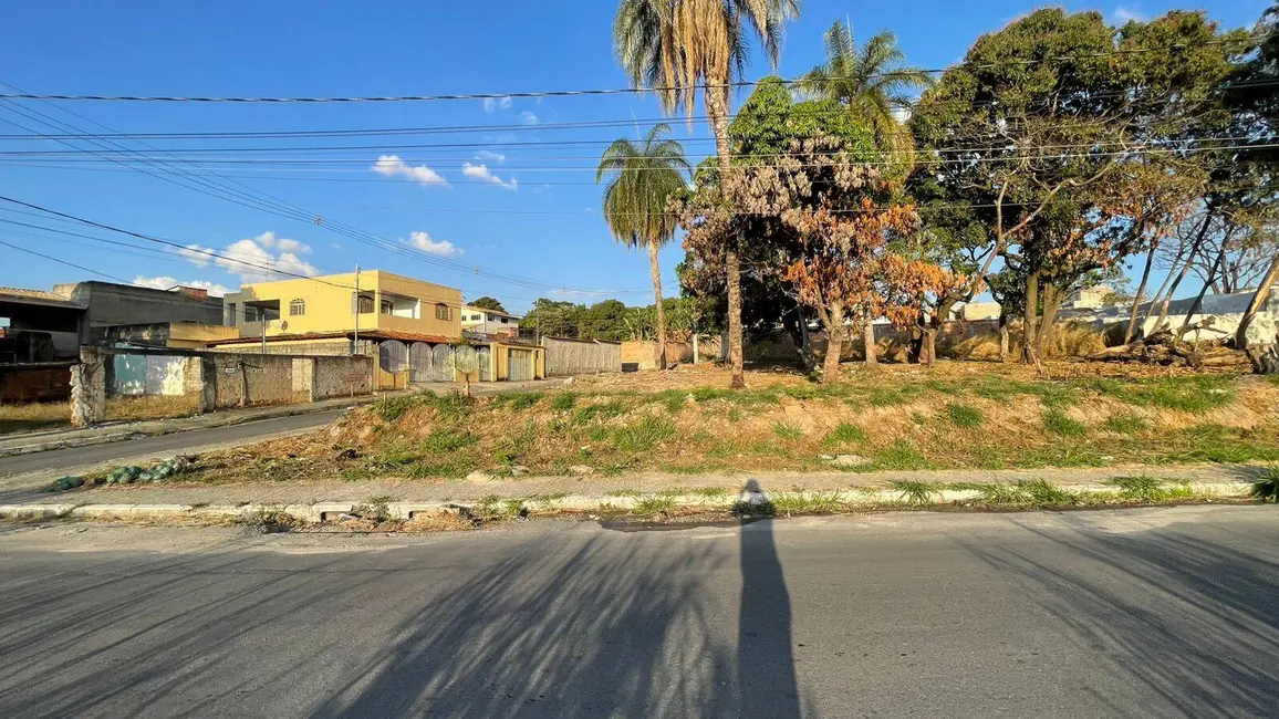 Terreno / Lote à venda, 203m2 em Jardim Alterosa, Betim - MG - imagem 8 Foto 8 de Terreno / Lote à venda, 203m2 em Jardim Alterosa, Betim - MG