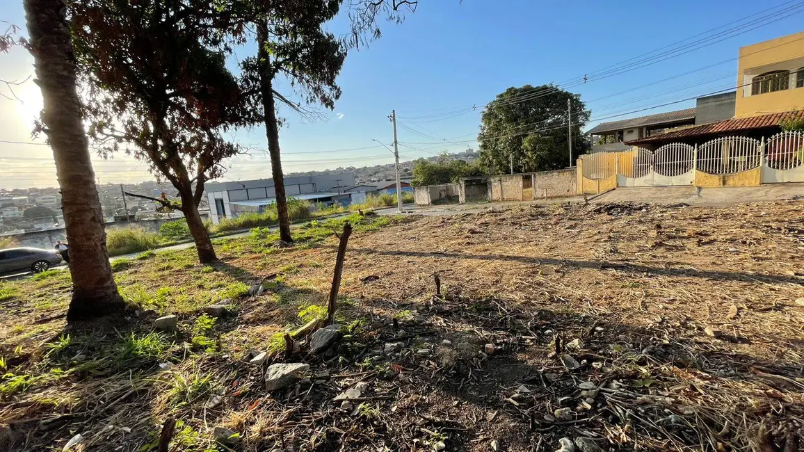 Terreno / Lote à venda, 203m2 em Jardim Alterosa, Betim - MG - imagem 6 Foto 6 de Terreno / Lote à venda, 203m2 em Jardim Alterosa, Betim - MG
