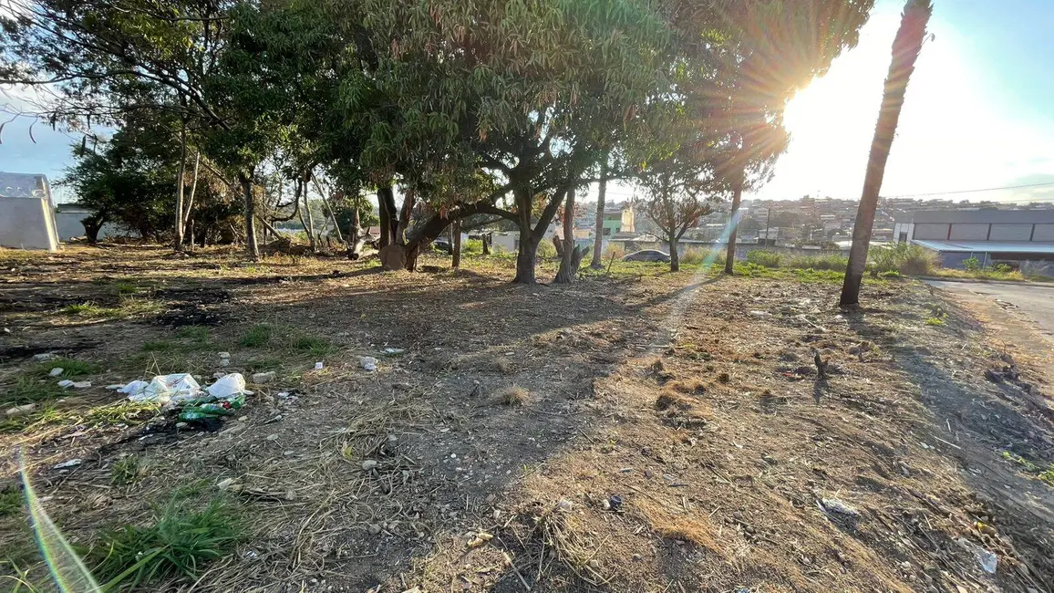 Terreno / Lote à venda, 203m2 em Jardim Alterosa, Betim - MG - imagem 4 Foto 4 de Terreno / Lote à venda, 203m2 em Jardim Alterosa, Betim - MG