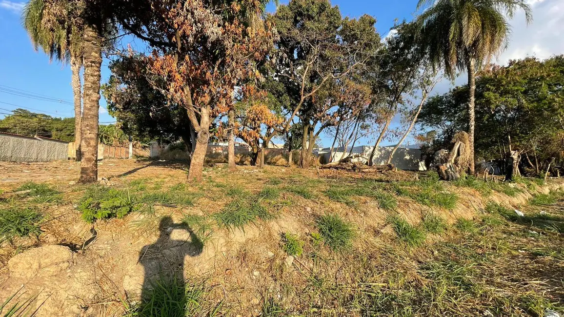 Terreno / Lote à venda, 203m2 em Jardim Alterosa, Betim - MG - imagem 6 Foto 6 de Terreno / Lote à venda, 203m2 em Jardim Alterosa, Betim - MG