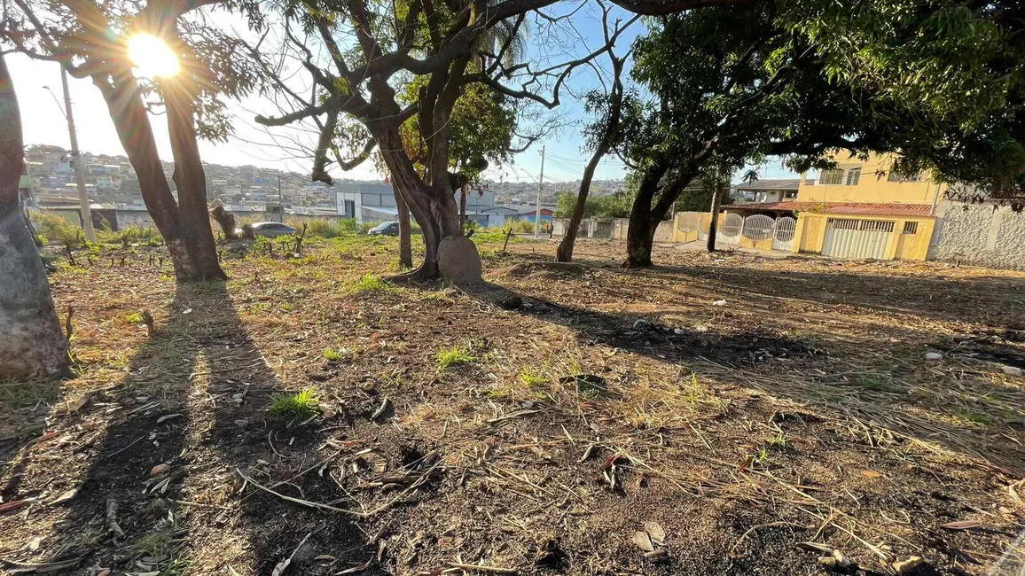 Terreno / Lote à venda, 203m2 em Jardim Alterosa, Betim - MG - imagem 7 Foto 7 de Terreno / Lote à venda, 203m2 em Jardim Alterosa, Betim - MG