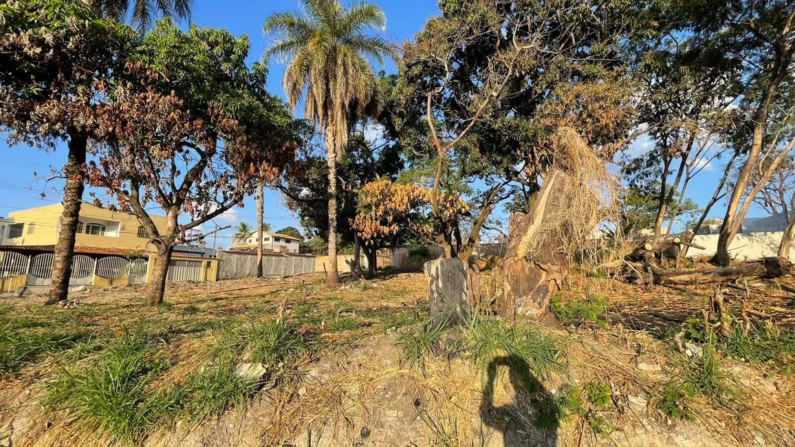 Terreno / Lote à venda, 203m2 em Jardim Alterosa, Betim - MG - imagem 5 Foto 5 de Terreno / Lote à venda, 203m2 em Jardim Alterosa, Betim - MG