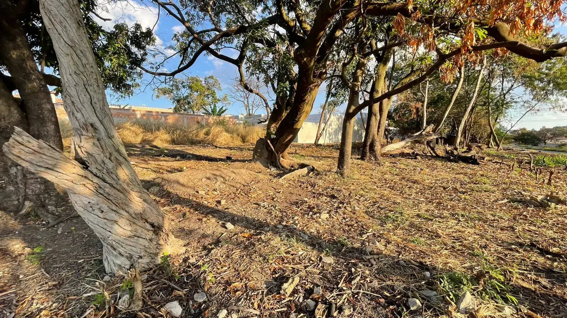 Terreno / Lote à venda, 203m2 em Jardim Alterosa, Betim - MG - imagem 9 Foto 9 de Terreno / Lote à venda, 203m2 em Jardim Alterosa, Betim - MG