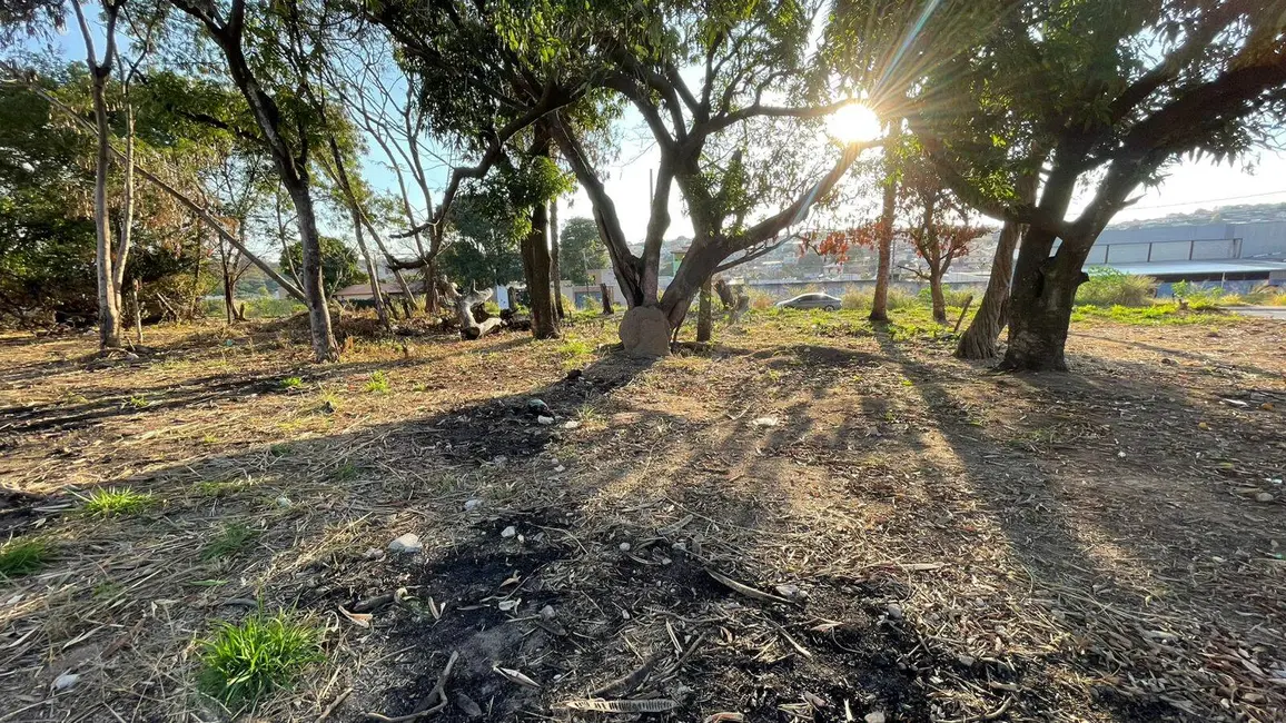 Terreno / Lote à venda, 203m2 em Jardim Alterosa, Betim - MG - imagem 8 Foto 8 de Terreno / Lote à venda, 203m2 em Jardim Alterosa, Betim - MG