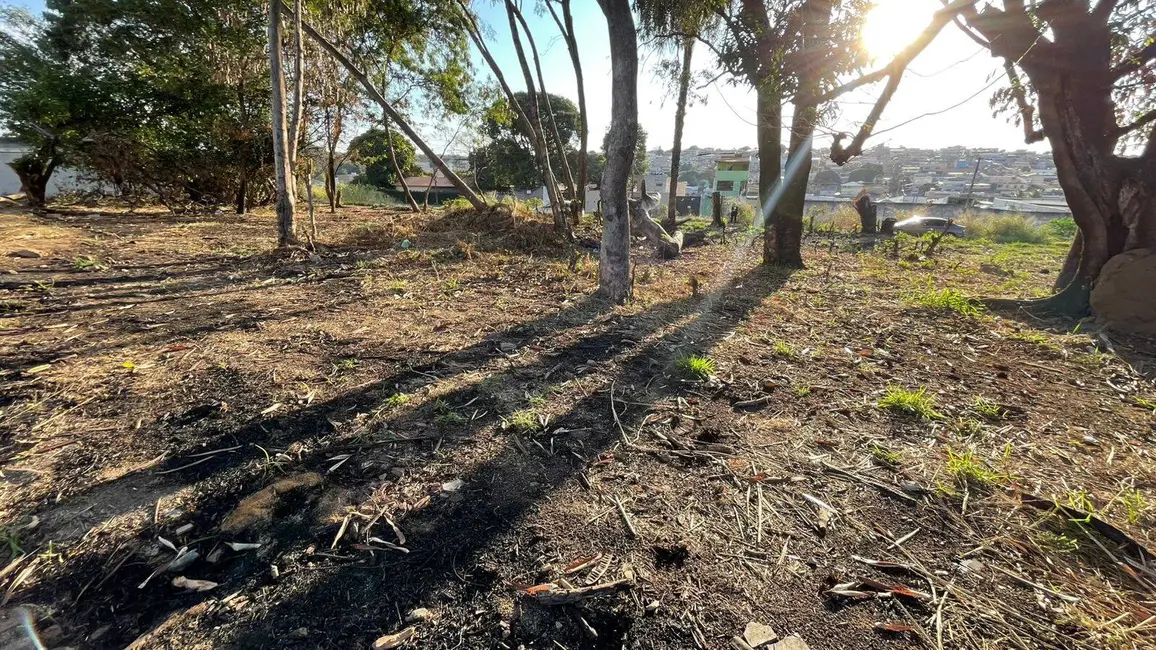 Foto 1 de Terreno / Lote à venda, 245m2 em Jardim Alterosa, Betim - MG